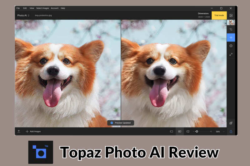 Topaz Photo AI Review 2024