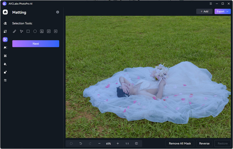 avclabs photopro ai foreground selection tool